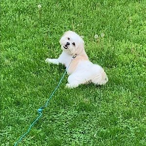 Meet your Posher, Renee